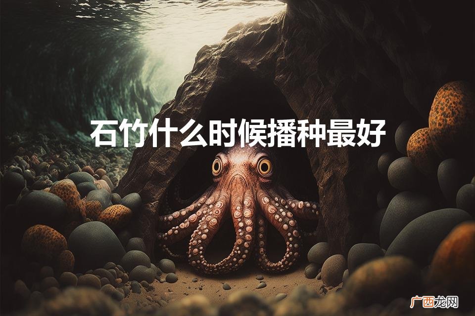 石竹种子的种植方法和时间 石竹什么时候播种最好