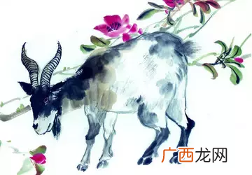 12属相婚配表配对姻缘合婚大全 十二生肖的婚姻配对表