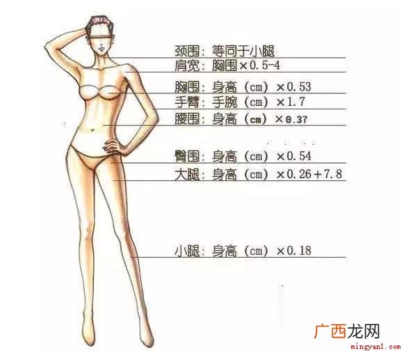胸围和腰围有什么区别? 三围是指哪几个地方？