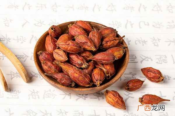 生栀子的功效与作用