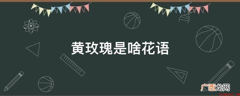 黄玫瑰花语的那天,没有任何征兆和预感,我一向自以为豪的预测能 黄玫瑰是啥花语