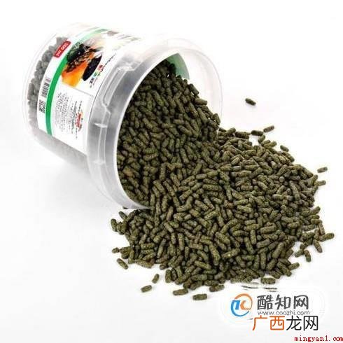 乌龟的食物有哪些 小乌龟吃什么适合小乌龟的食物