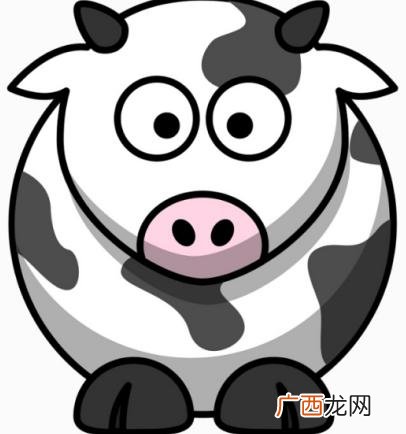 艰难前行的婚配属相 属牛人和属兔人的婚姻怎么样