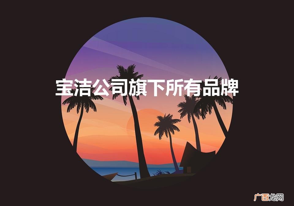宝洁公司旗下所有品牌（联合利华)