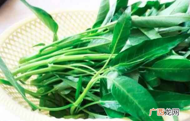 空心菜是什么 空心菜的营养价值