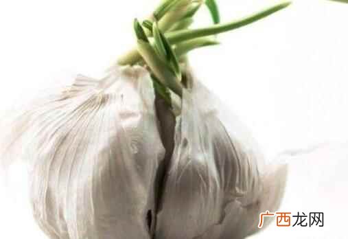 蒜怎么吃降血糖