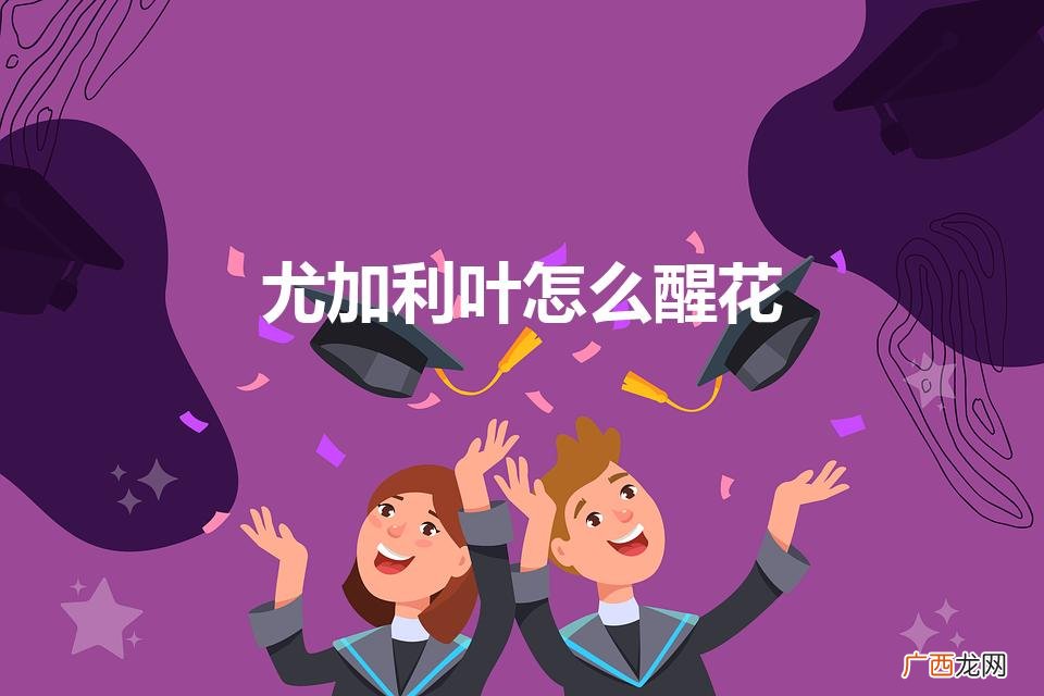 怎样养花白鲢 尤加利叶怎么醒花