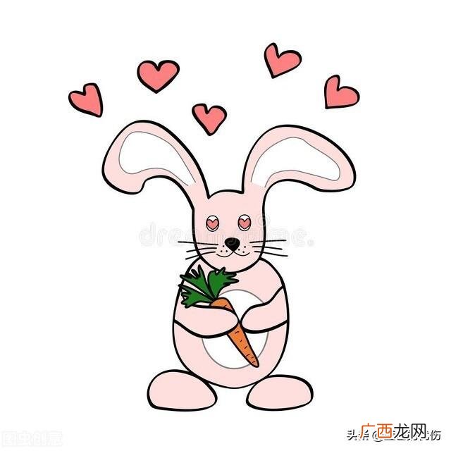 最令人欣慰的是什么 生肖兔最令人心疼的是什么