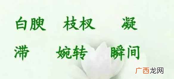 滞怎么读