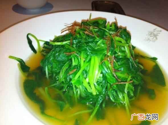 在平时生活中购买鸡毛菜的时候又应该注意些什么 鸡毛菜和油菜的区别