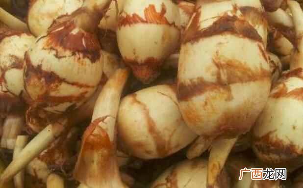 慈姑的食用最佳时间是每年的3月份和立冬时节 慈姑什么季节吃