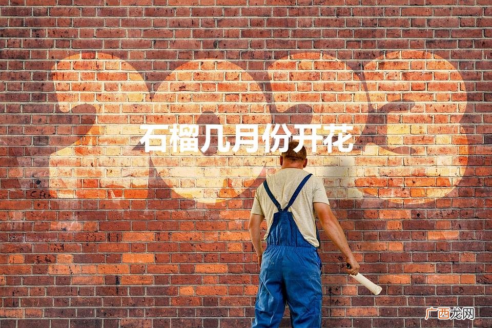 石榴几月份开花（石榴树几年开花结果)