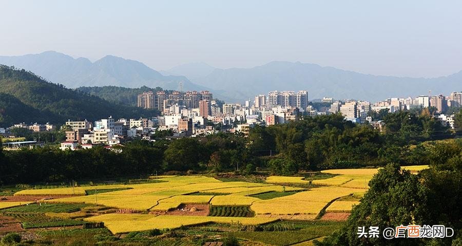 广东省河源市连平县各镇常住人口 连平县属于哪个市
