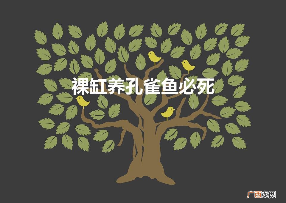 为什么鱼缸养的孔雀鱼总死 裸缸养孔雀鱼必死