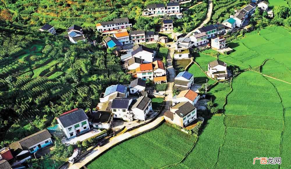 批发什么去农村卖挣钱