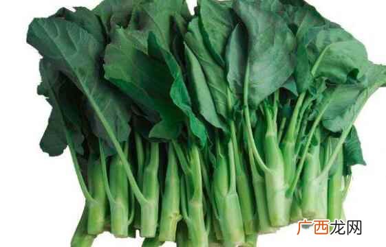 芥蓝是菜心吗