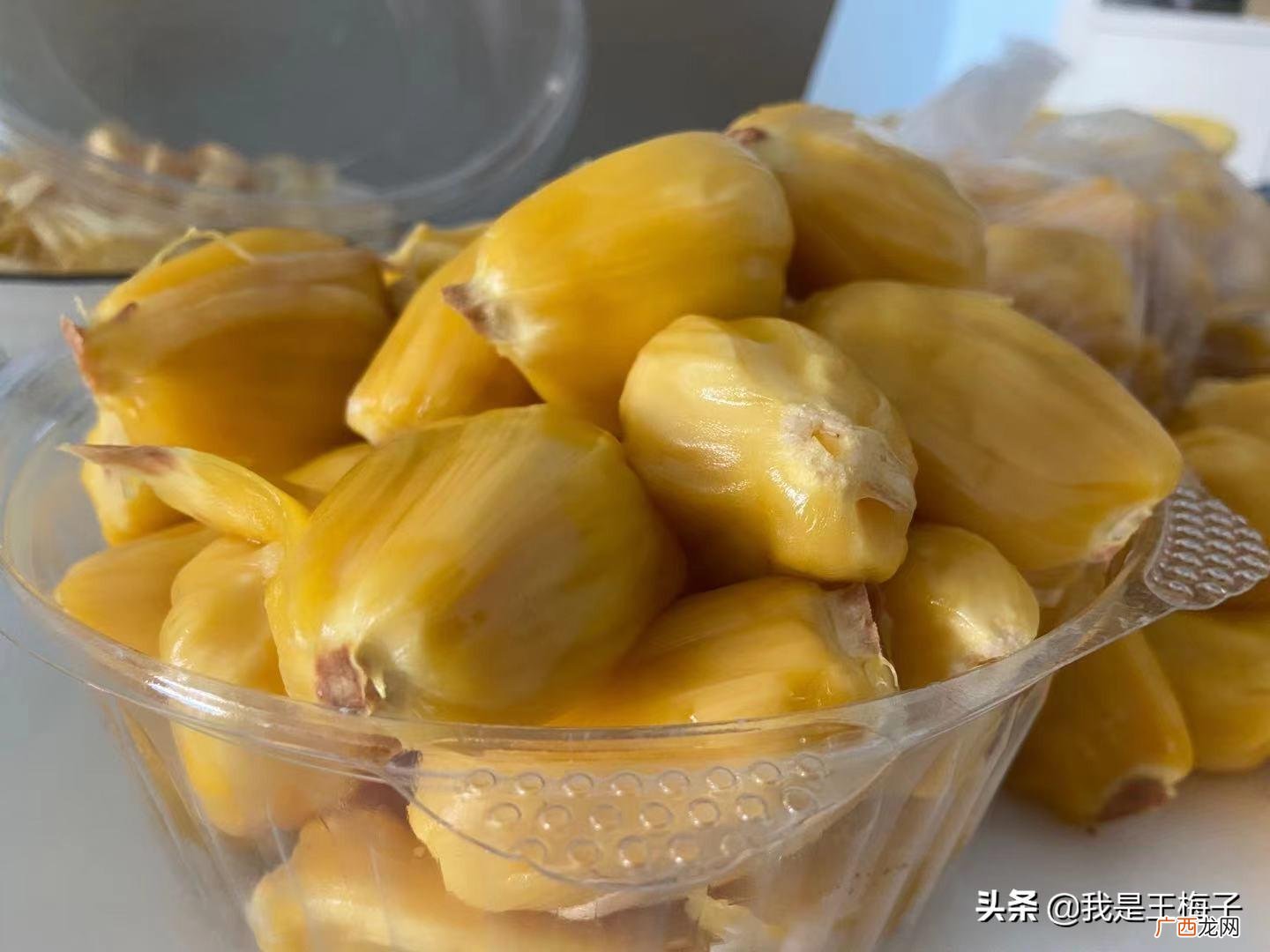 图解菠萝蜜辨别生熟技巧 怎样判断菠萝蜜是否成熟