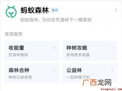 演示机型:Iphone 13 支付宝蚂蚁森林怎么换树