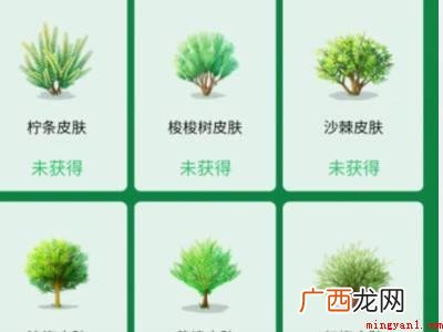 演示机型:Iphone 13 支付宝蚂蚁森林怎么换树