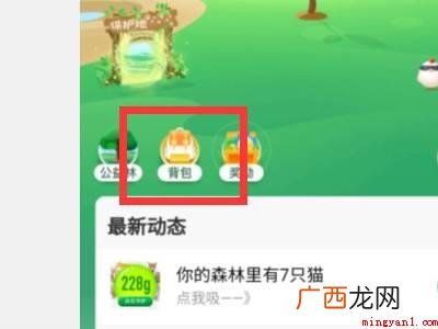 演示机型:Iphone 13 支付宝蚂蚁森林怎么换树