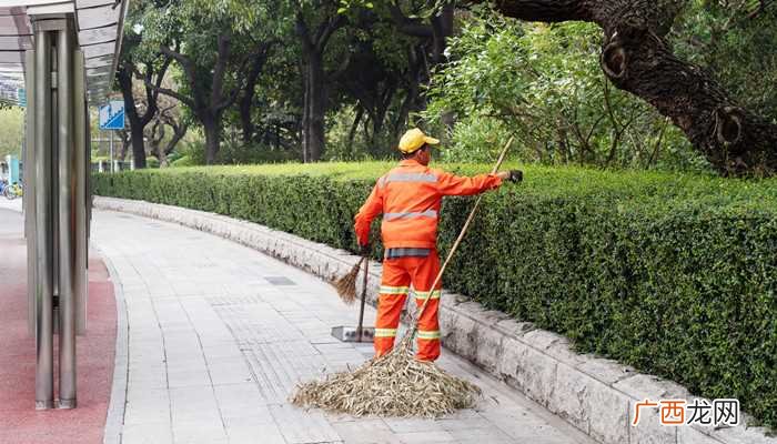 两网融合是指什么