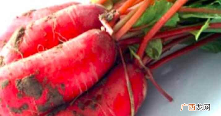 水萝卜这种食物我们可不可以吃 水萝卜的叶子能吃吗