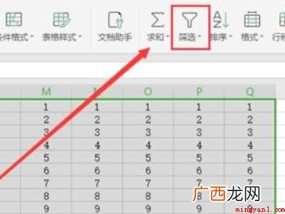 怎样在excel表格里筛选出我要的内容的具体操作步骤 怎样在excel表格里筛选出我要的内容