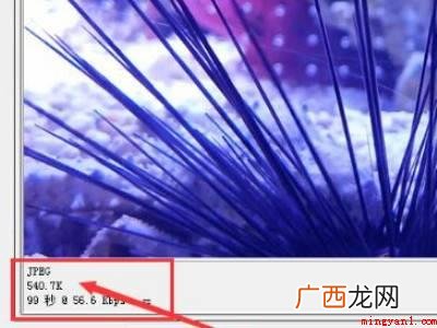 ps如何降低图片kb大小的具体操作步骤 ps如何降低图片kb大小