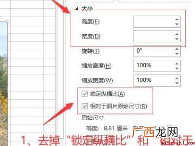 华为MateBook X中excel一键调整图片大小的具体操 excel一键调整图片大小
