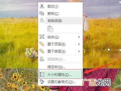 华为MateBook X中excel一键调整图片大小的具体操 excel一键调整图片大小