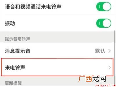 演示机型:Iphone 13 微信语音来电铃声能不能修改