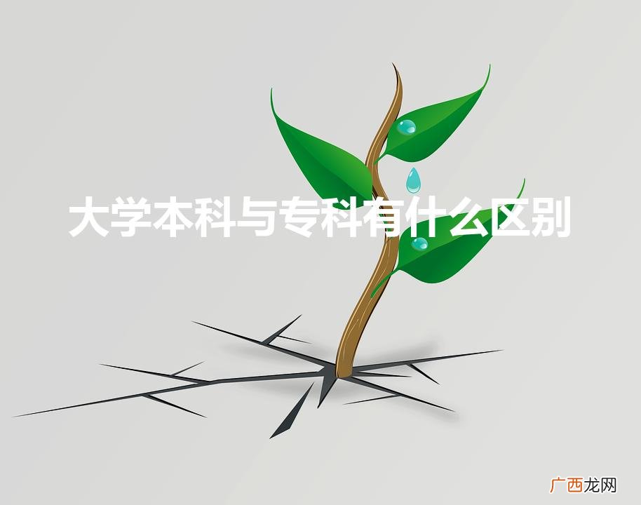 两者具体有什么差别 大学本科与专科有什么区别