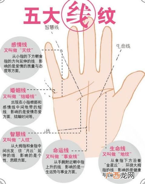 对爱情和性生活没有欲望 没有婚姻线的女人