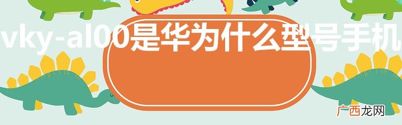 苹果去核机 vky-al00是华为什么型号手机