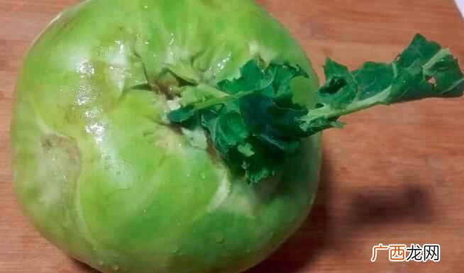 苤蓝什么时候上市
