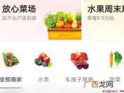 演示机型:Iphone 13 美团买菜在哪里找