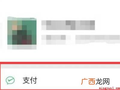 演示机型:Iphone 13 微信支付信用分怎么查询