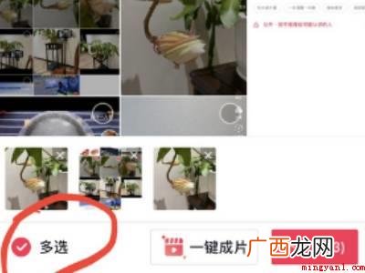 演示机型:Iphone 13 抖音点击查看图集2张怎么设置