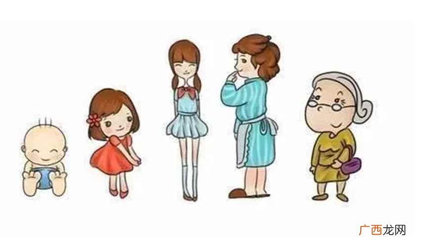 女七男八是啥意思
