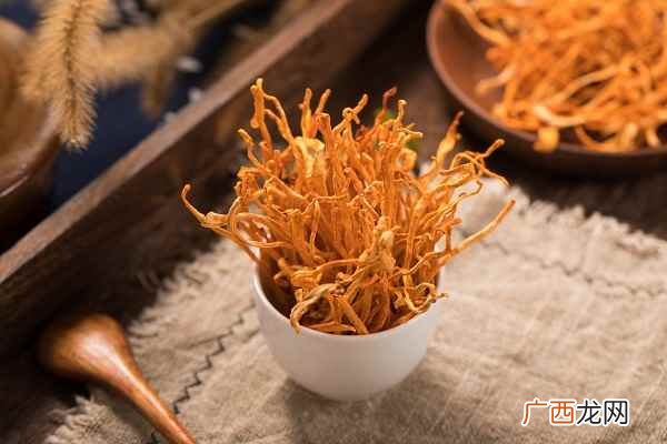 虫草花的功效与作用禁忌