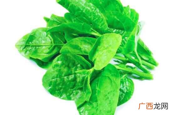木耳菜是什么