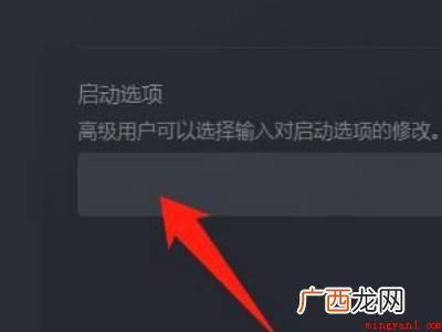 saints row怎么设置中文的具体操作步骤 saints