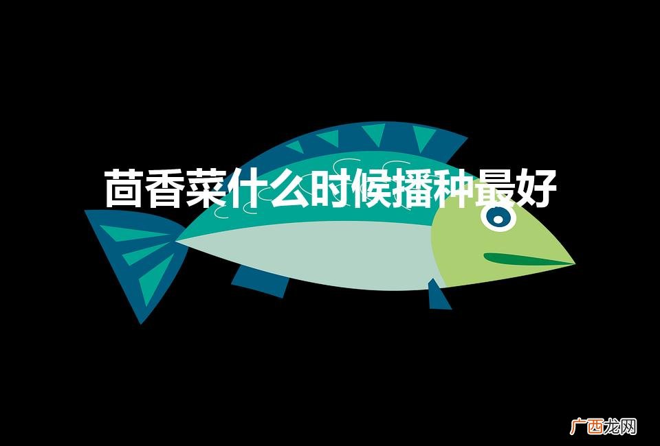 茴香菜什么时候播种最好（茴香菜适合什么季节种)