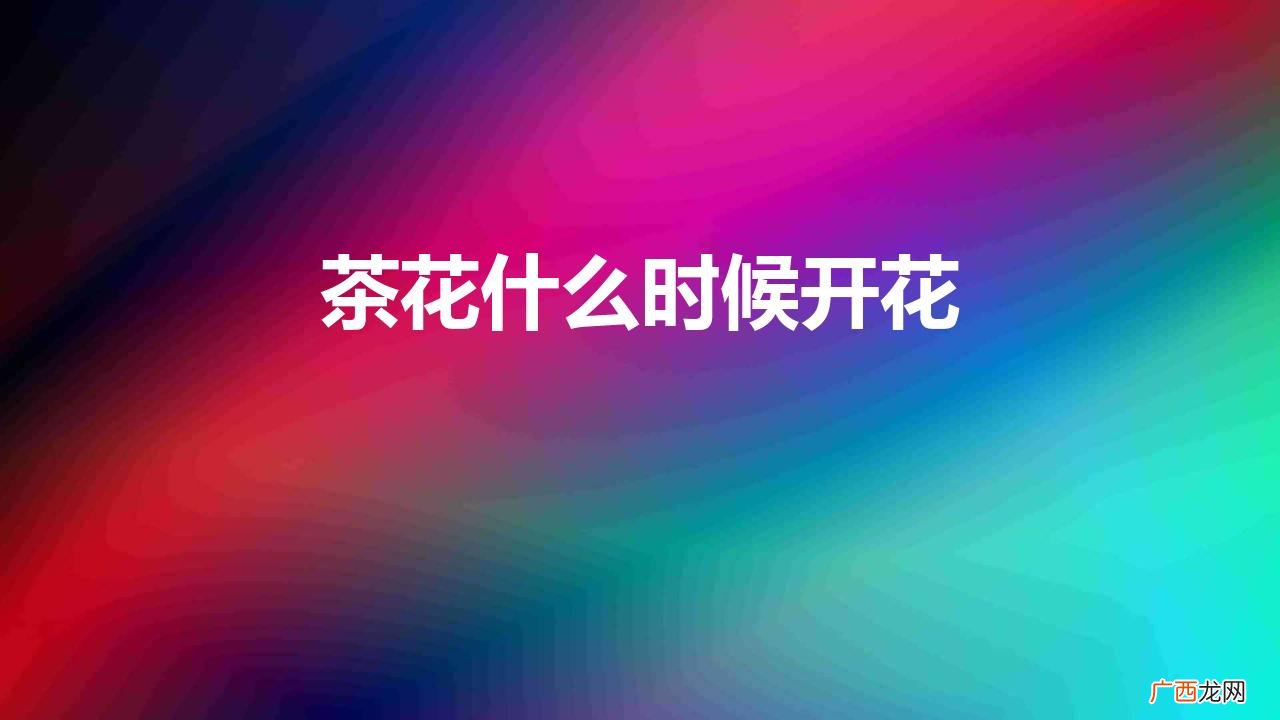 茶花什么时候开花、什么季节开花 茶花什么时候开花