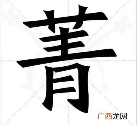 读音有区别词性和词义的作用 菁怎么读