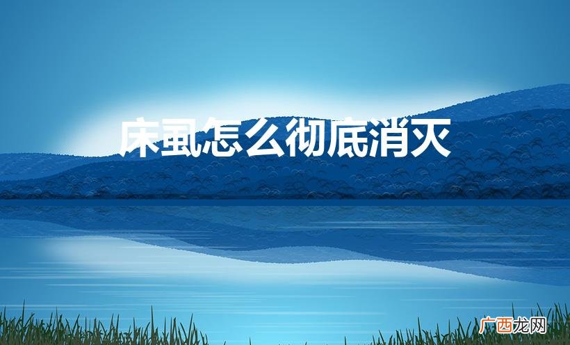 除床虱子最有效的方法 床虱怎么彻底消灭