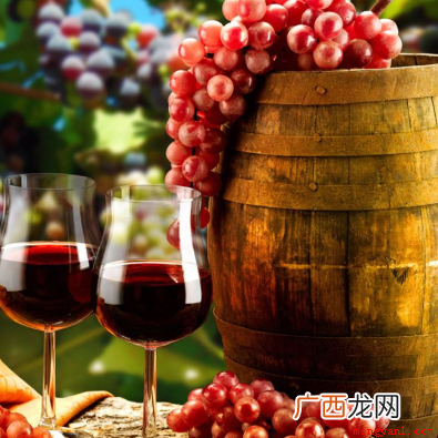 2008年葡萄酒标准规定 通常葡萄酒瓶身上标注的年份指的是什么？