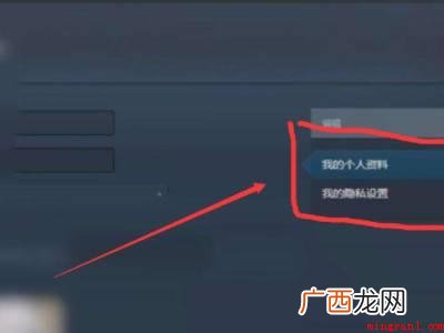 更改steam登录账号名的具体操作步骤 更改steam登录账号名