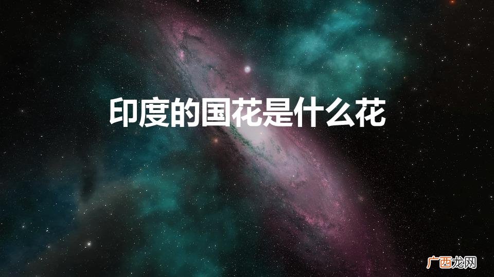 印度的国花是什么 印度的国花是什么花