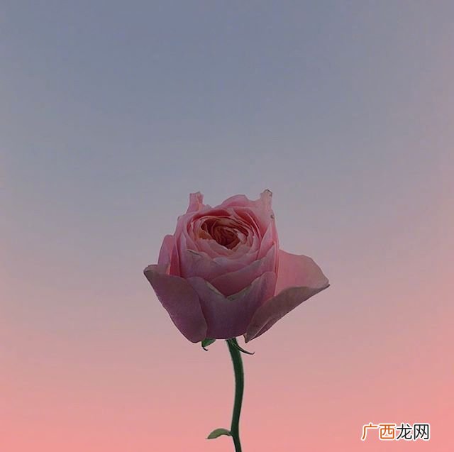 人际之间交往中现实的句子 人与人之间相处感悟经典句子